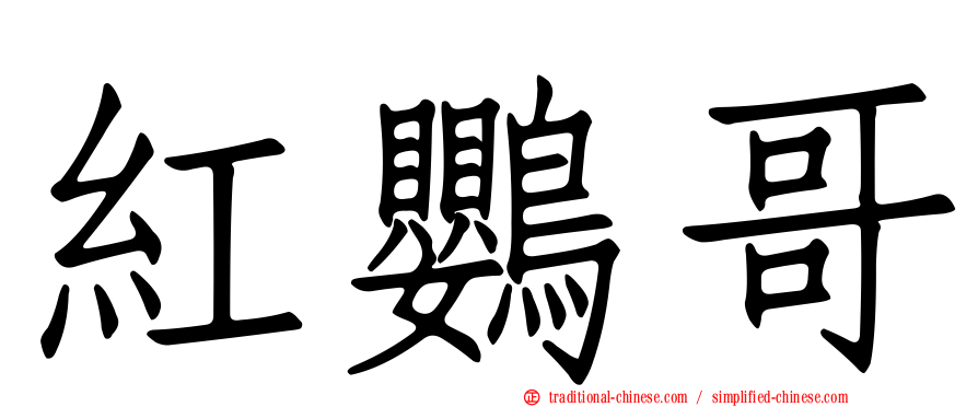 紅鸚哥