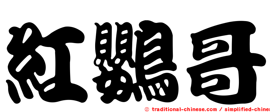 紅鸚哥