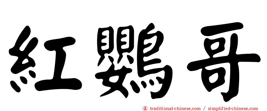紅鸚哥
