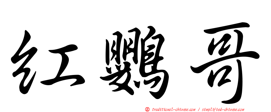 紅鸚哥