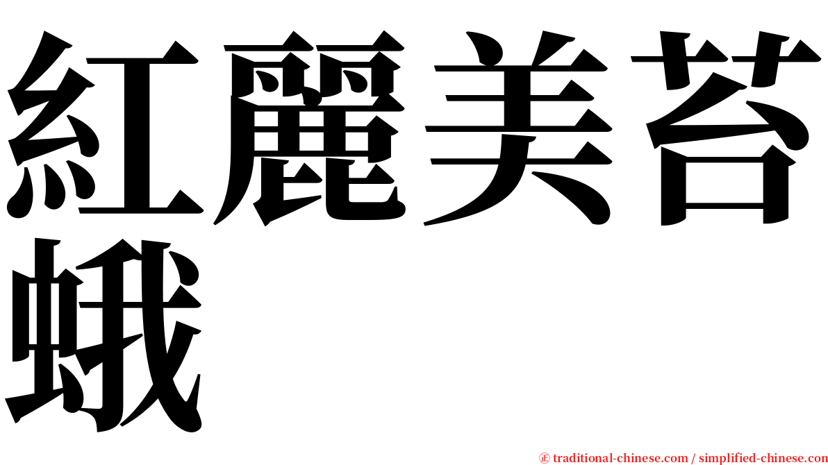 紅麗美苔蛾 serif font