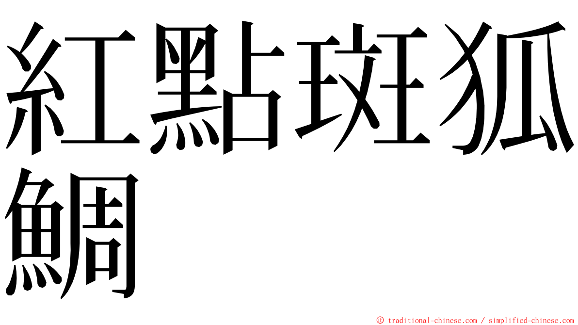 紅點斑狐鯛 ming font