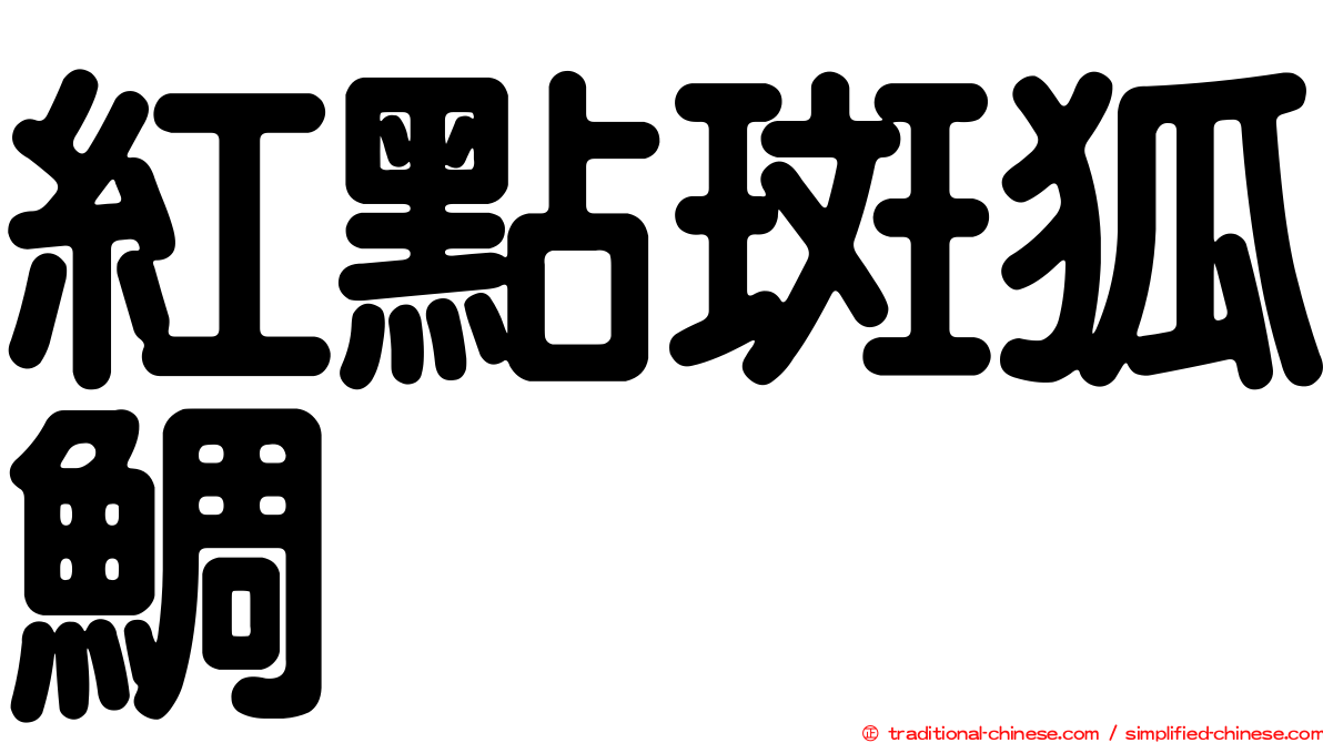 紅點斑狐鯛