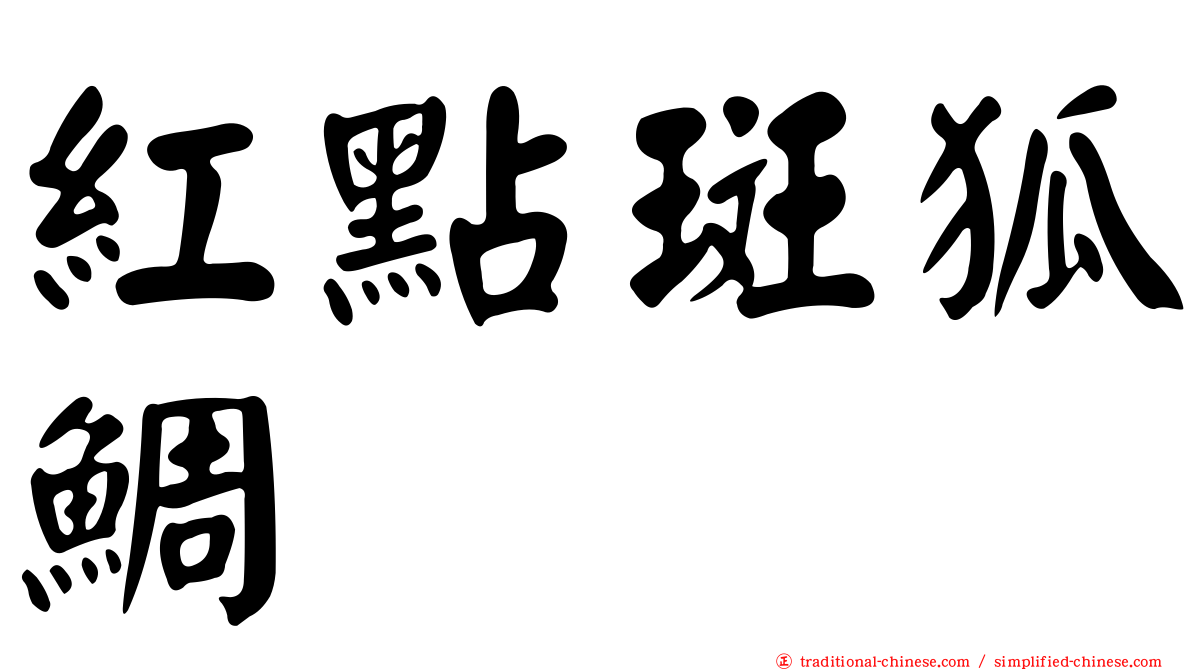 紅點斑狐鯛