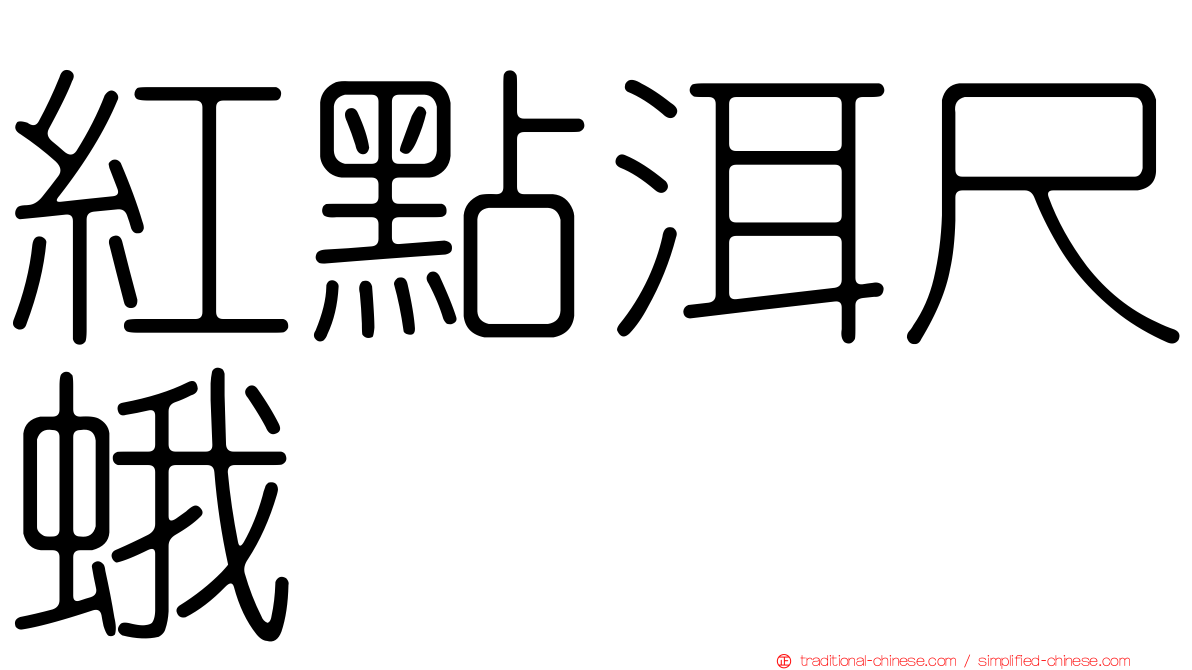 紅點洱尺蛾
