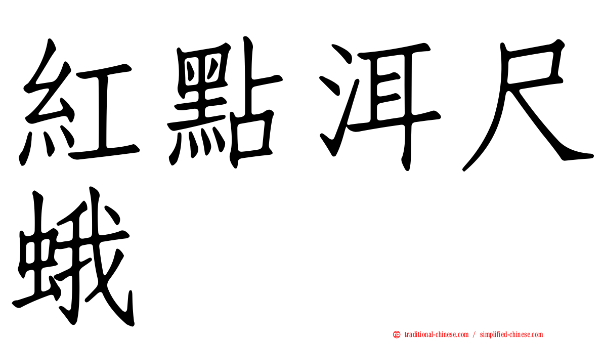 紅點洱尺蛾