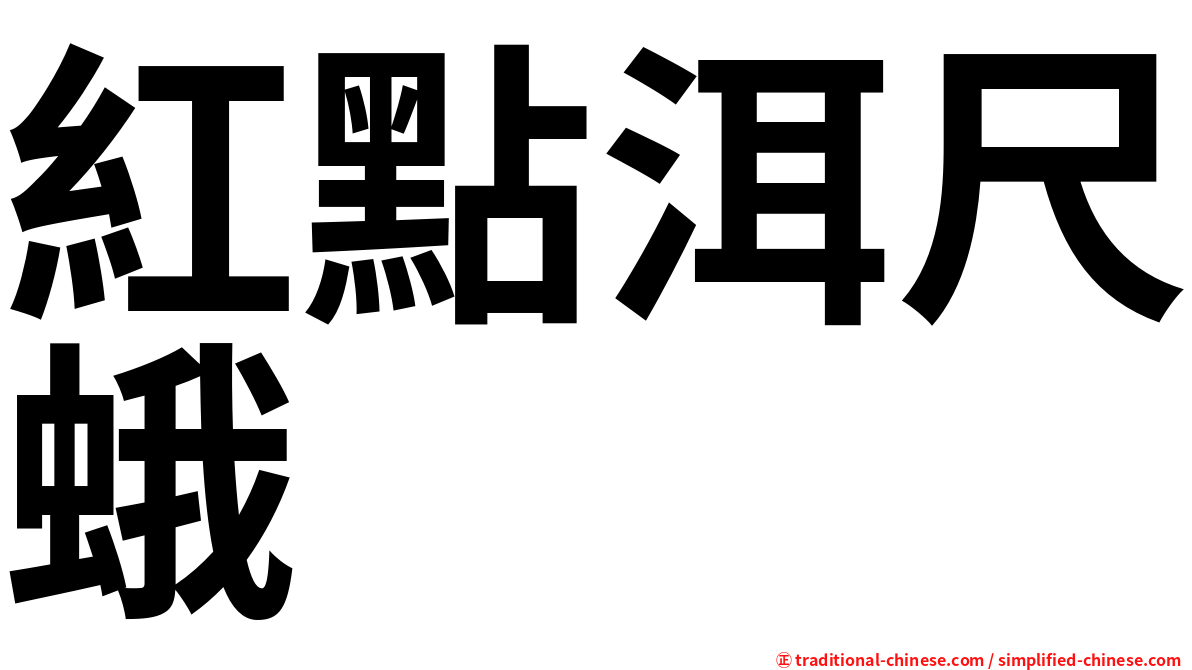紅點洱尺蛾