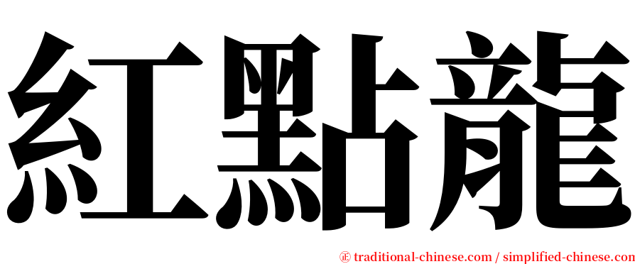 紅點龍 serif font