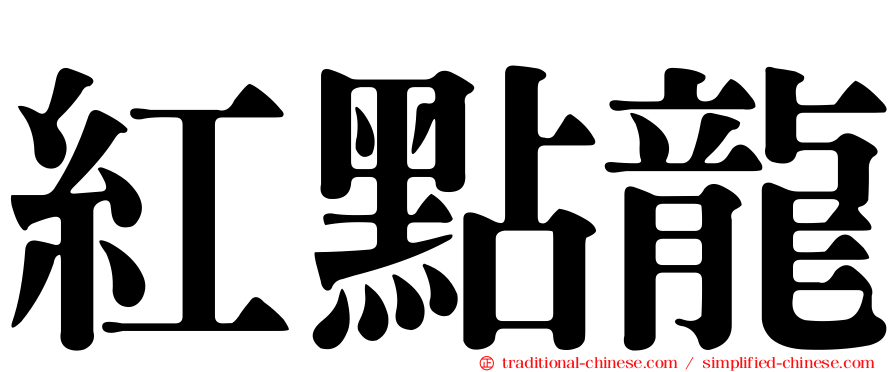 紅點龍
