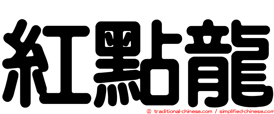紅點龍