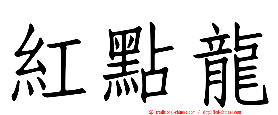 紅點龍
