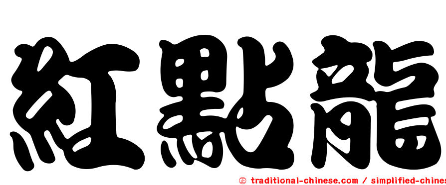 紅點龍