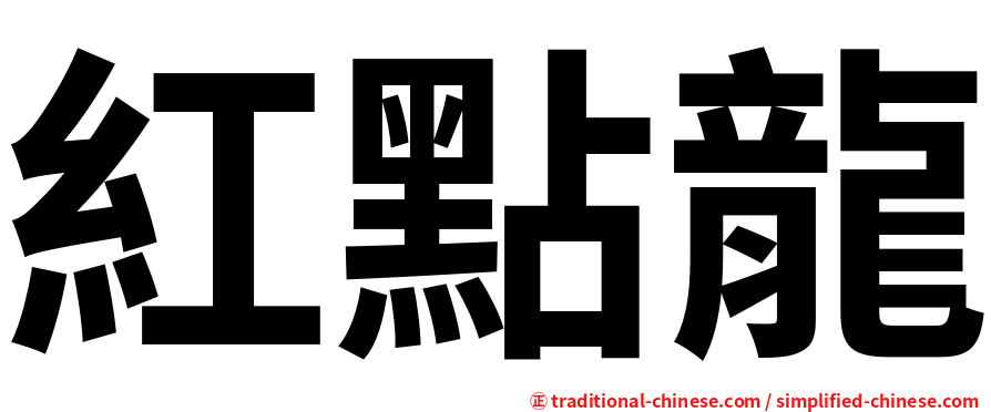 紅點龍