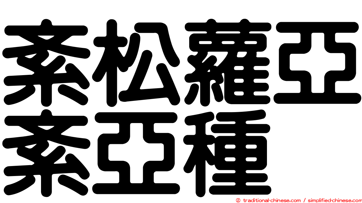 紊松蘿亞紊亞種