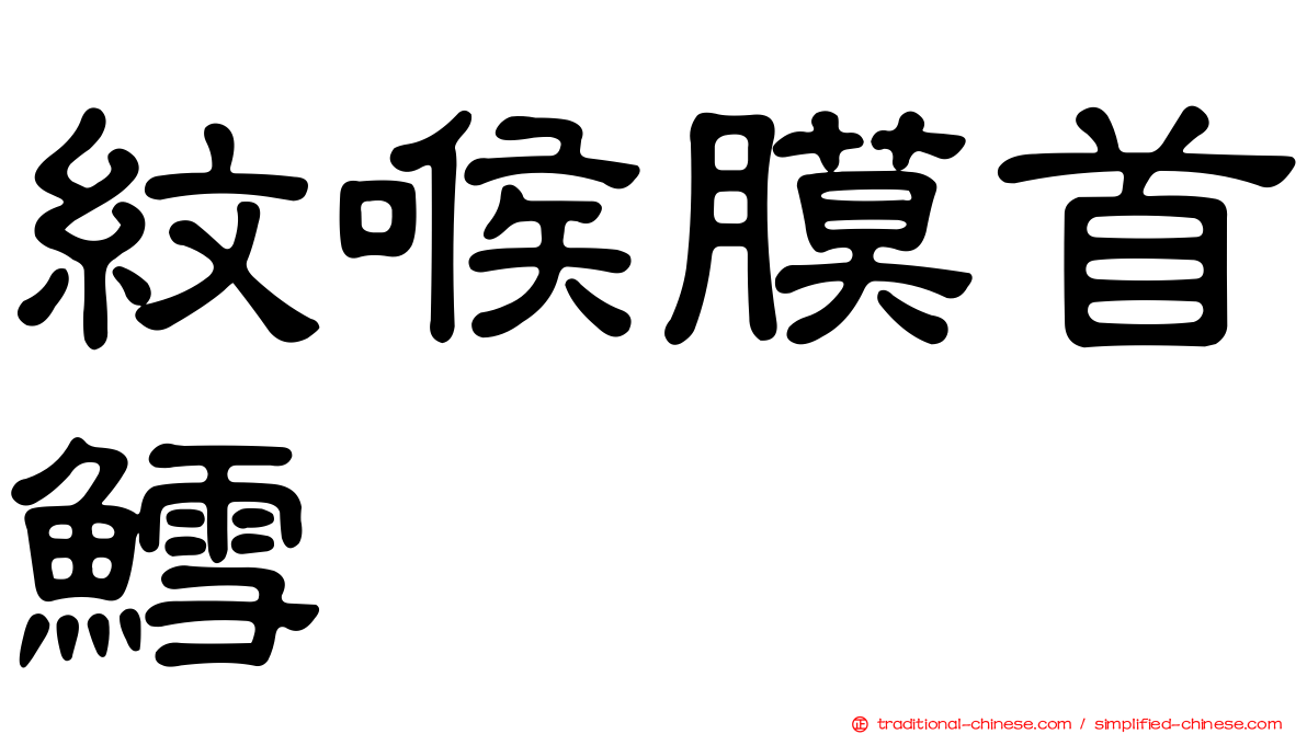 紋喉膜首鱈