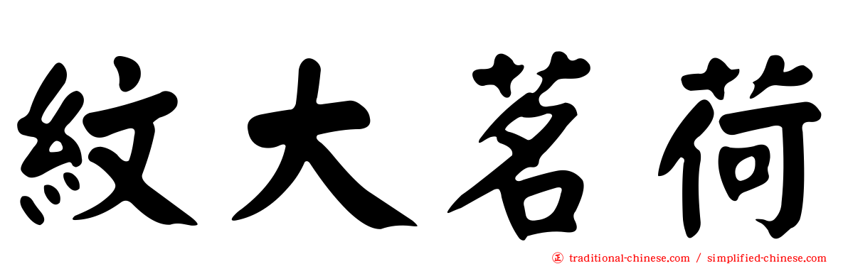 紋大茗荷