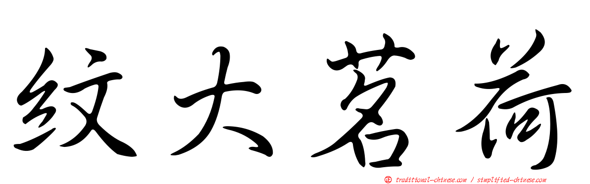 紋大茗荷