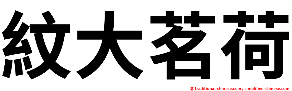 紋大茗荷
