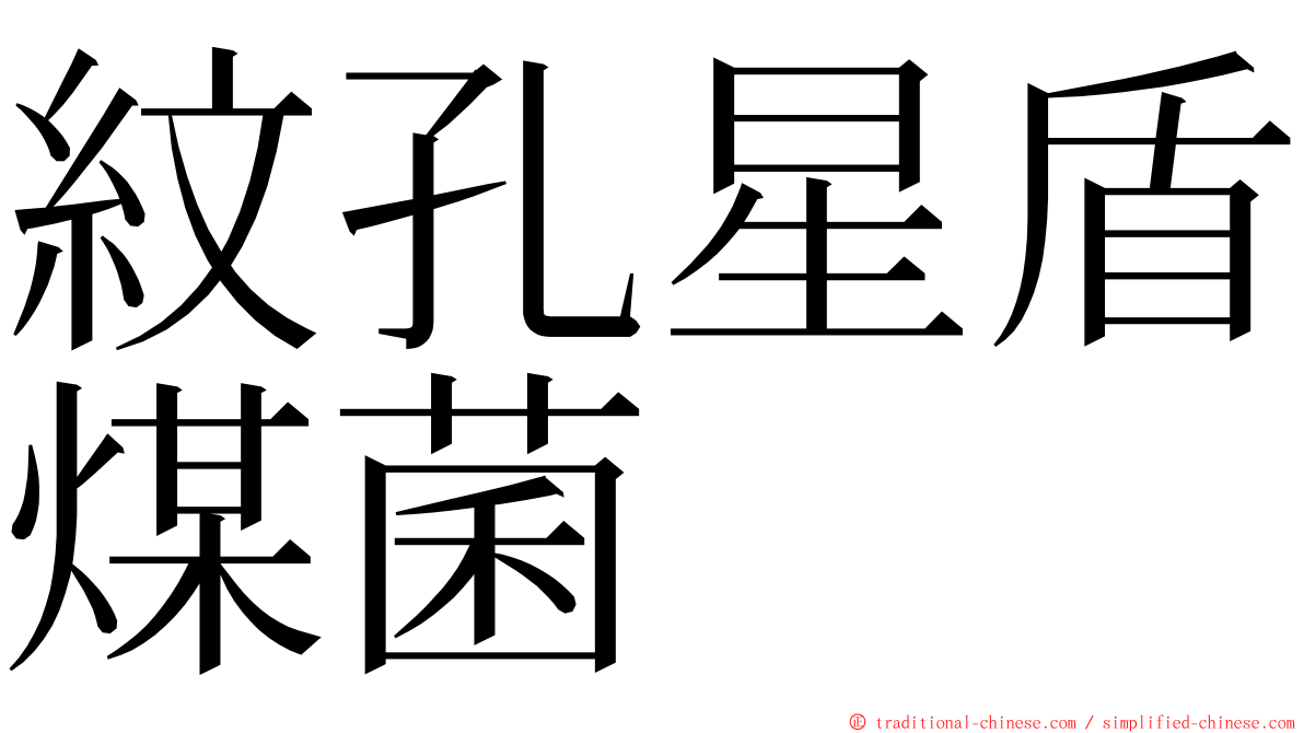 紋孔星盾煤菌 ming font