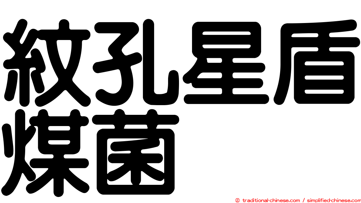 紋孔星盾煤菌