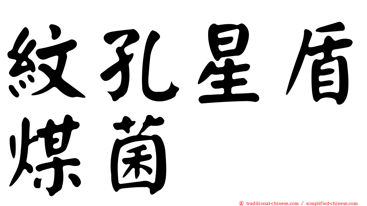 紋孔星盾煤菌