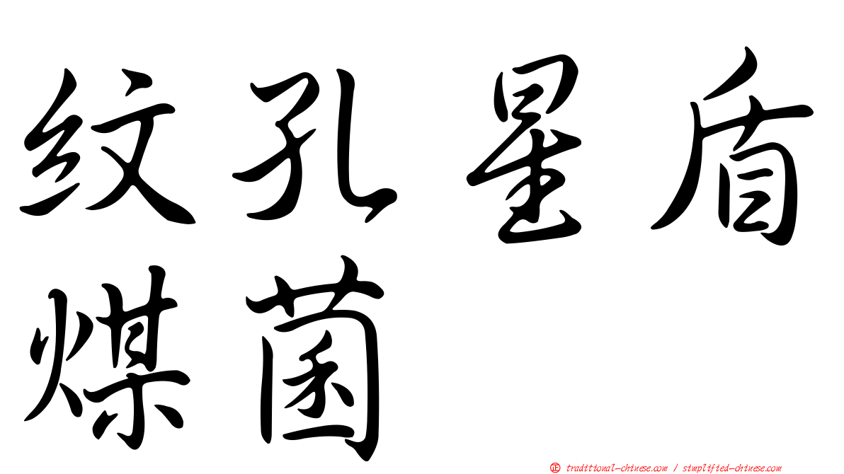 紋孔星盾煤菌