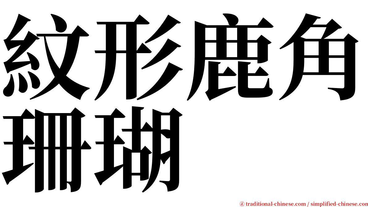 紋形鹿角珊瑚 serif font