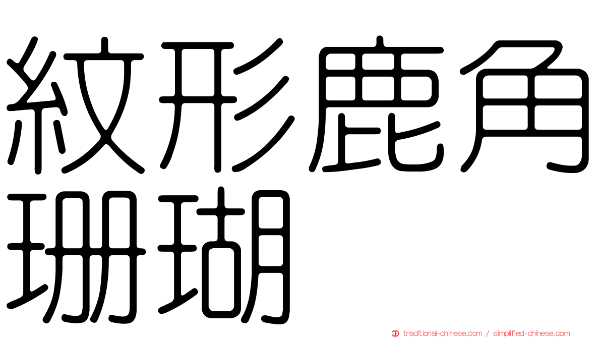 紋形鹿角珊瑚