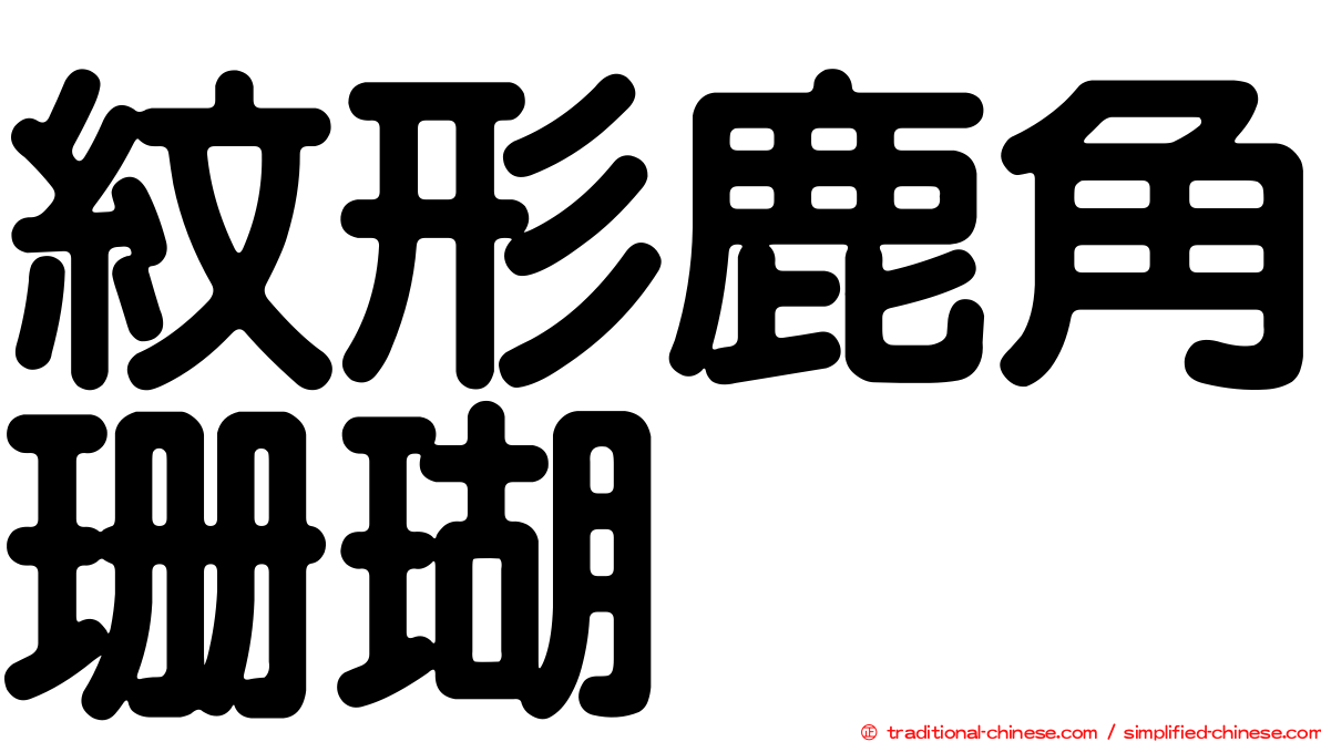 紋形鹿角珊瑚