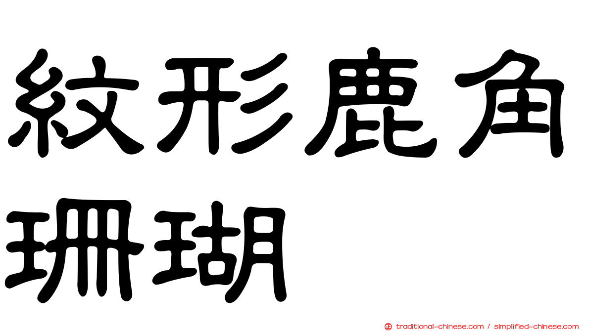 紋形鹿角珊瑚
