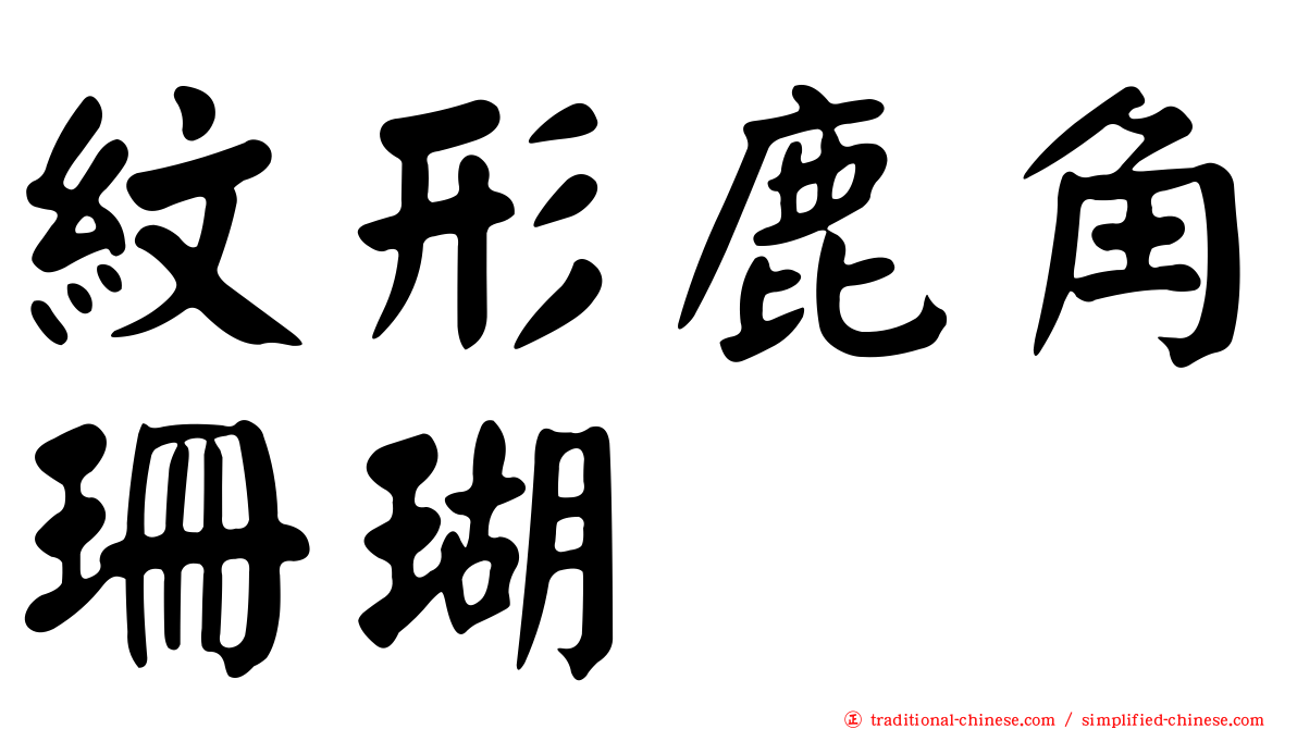 紋形鹿角珊瑚