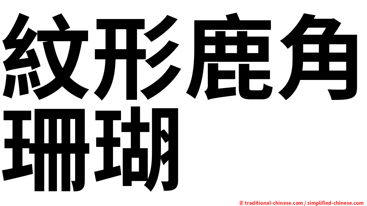 紋形鹿角珊瑚