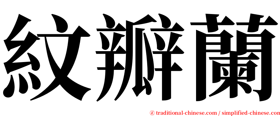 紋瓣蘭 serif font