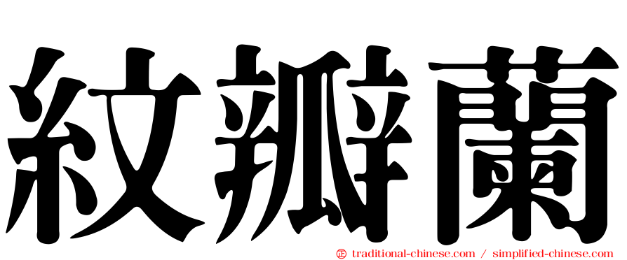 紋瓣蘭