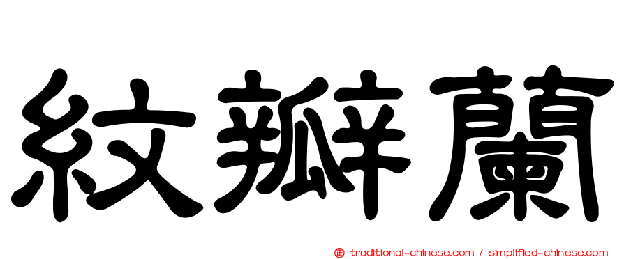 紋瓣蘭