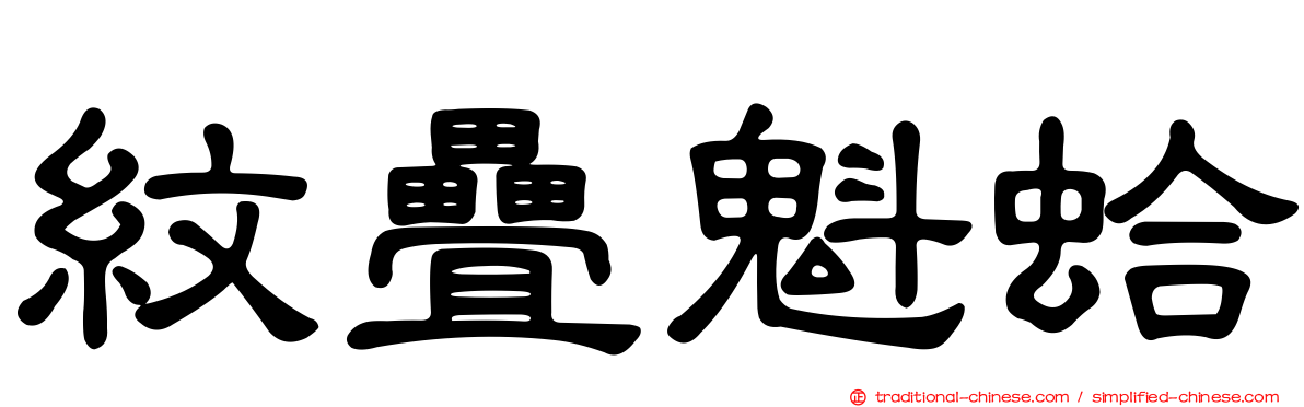 紋疊魁蛤