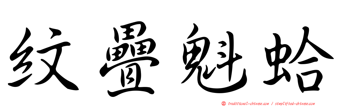 紋疊魁蛤