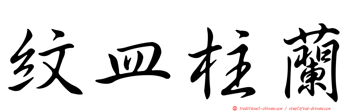 紋皿柱蘭