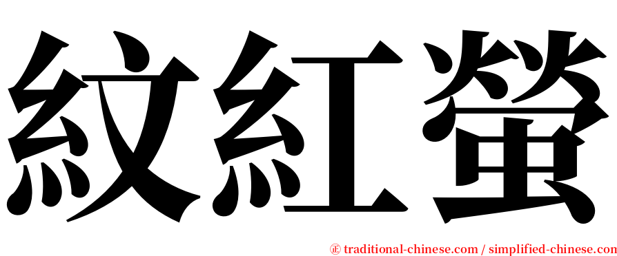 紋紅螢 serif font