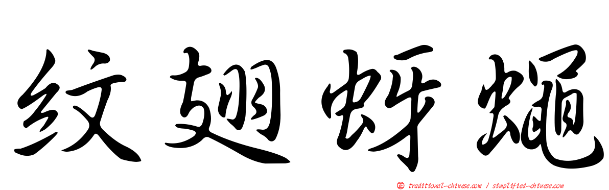 紋翅蚜蠅