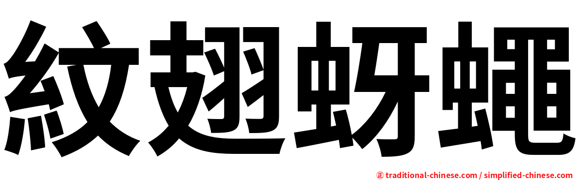 紋翅蚜蠅