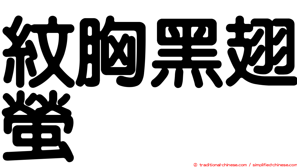 紋胸黑翅螢