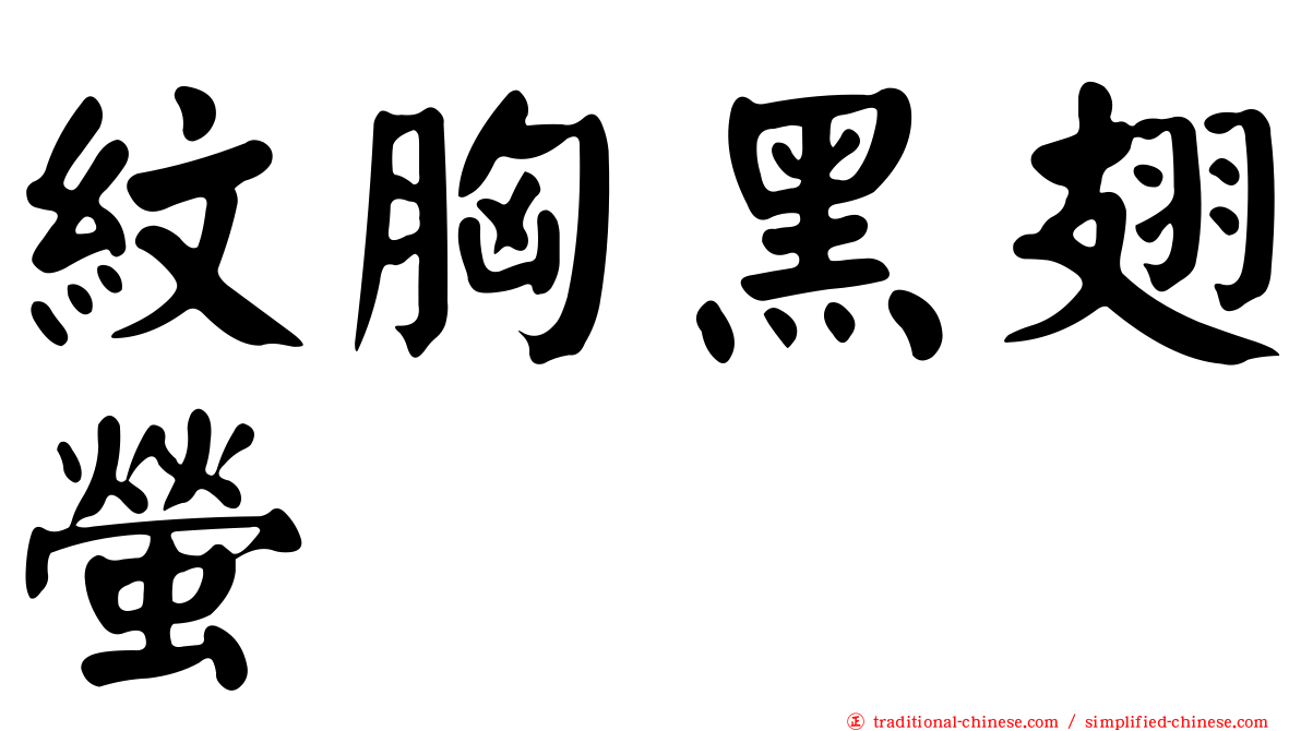 紋胸黑翅螢