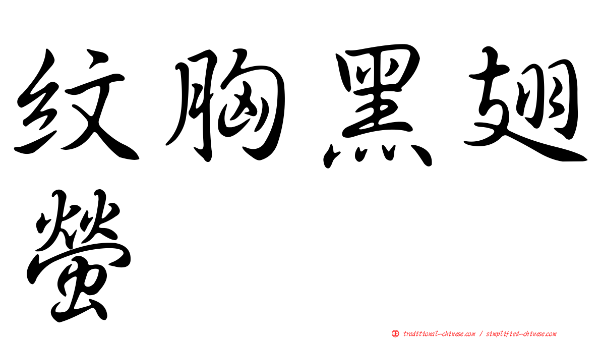 紋胸黑翅螢
