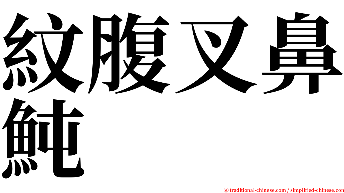 紋腹叉鼻魨 serif font
