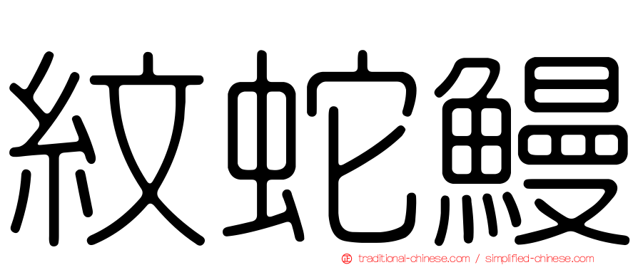 紋蛇鰻