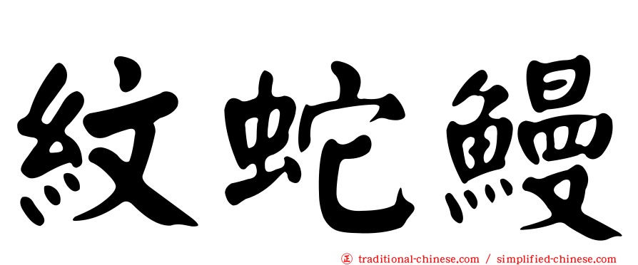 紋蛇鰻
