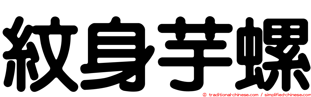 紋身芋螺