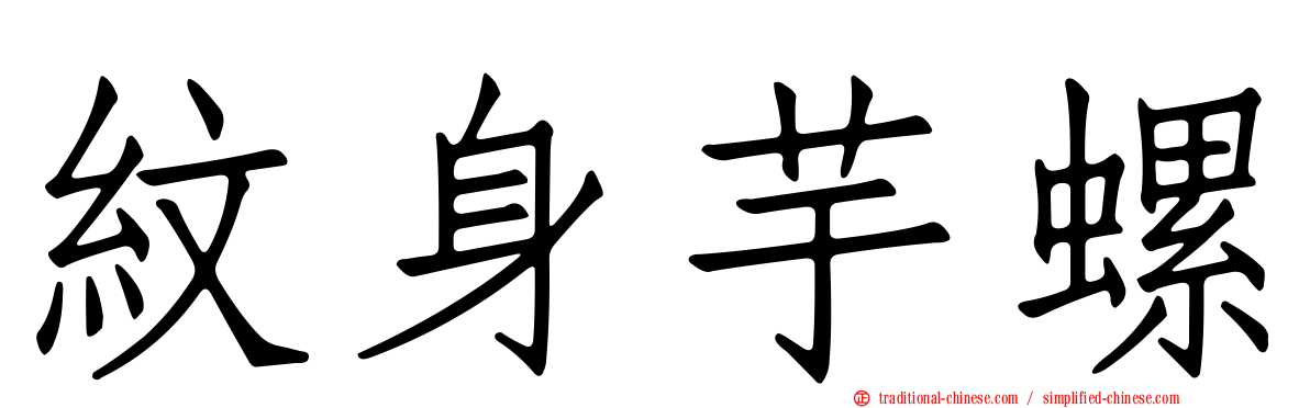 紋身芋螺