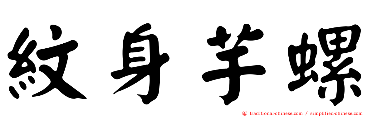 紋身芋螺